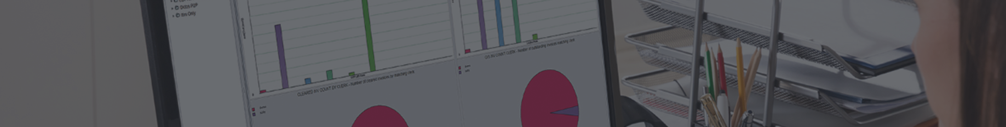 Invoice matching software (Didos)